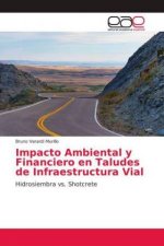 Impacto Ambiental y Financiero en Taludes de Infraestructura Vial