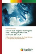 Efeitos das Regras de Origem no CI de Mocambique no contexto da SADC