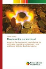 Moeda unica no Mercosul