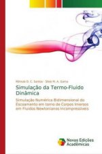 Simulacao da Termo-Fluido Dinamica