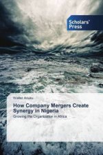 How Company Mergers Create Synergy in Nigeria