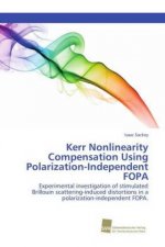 Kerr Nonlinearity Compensation Using Polarization-Independent FOPA