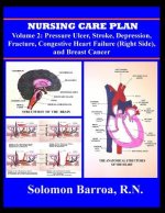 Nursing Care Plan
