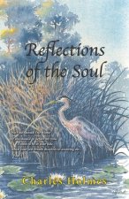 Reflections of the Soul