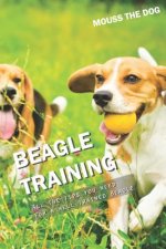 Beagle Training: All the Tips You Need for a Well-Trained Beagle