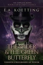 Spider & The Green Butterfly