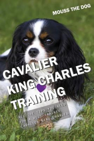 Cavalier King Charles Training: All the Tips You Need for a Well-Trained Cavalier King Charles