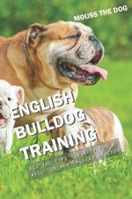 English Bulldog Training: All the Tips You Need for a Well-Trained English Bulldog