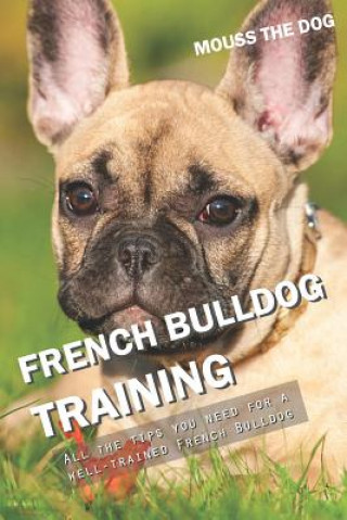 French Bulldog Training: All the Tips You Need for a Well-Trained French Bulldog