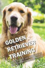 Golden Retriever Training: All the Tips You Need for a Well-Trained Golden Retriever
