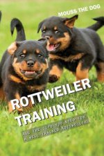 Rottweiler Training: All the Tips You Need for a Well-Trained Rottweiler