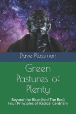 Green Pastures of Plenty: Beyond the Blue (and the Red), Four Principles of Radical Centrism