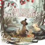 Are You a Baby Reindeer?