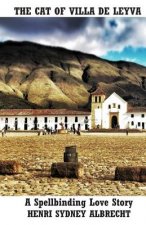 Cat of Villa de Leyva