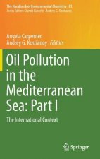 Oil Pollution in the Mediterranean Sea: Part I