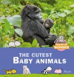 Mack's World of Wonder. The Cutest Baby Animals
