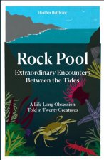 Rock Pool: Extraordinary Encounters Between the Tides