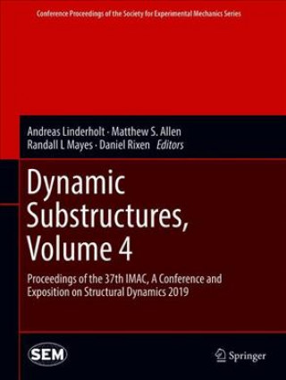 Dynamic Substructures, Volume 4