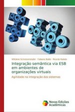 Integracao semantica via ESB em ambientes de organizacoes virtuais