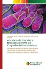 Atividade de biocidas e formacao biofilme de Corynebacterium striatum