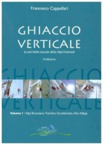 Ghiaccio Verticale (1)
