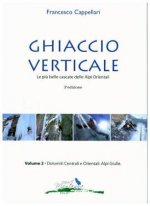 Ghiaccio Verticale (2)