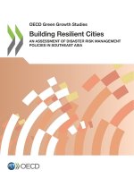 Building resilient cities