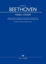 Adagio cantabile, Orgelbearbeitungen