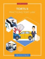 Torts II: Practicing Tort Law