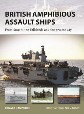 British Amphibious Assault Ships