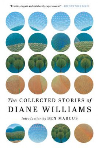 Collected Stories Of Diane Williams