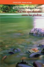 voz que duerme entre las piedras