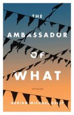 Ambassador of What: Stories