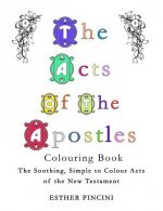 Acts of the Apostles Colouring Book