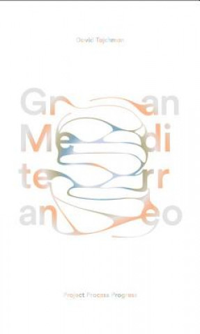 Gran Mediterraneo: Project Process Progress