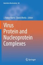 Virus Protein and Nucleoprotein Complexes