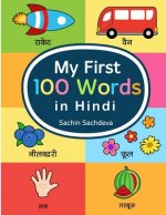 My First 100 Words in Hindi: Learn the Essential and Most Common Used Words in Hindi Language