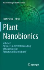 Plant Nanobionics