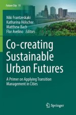 Co--creating Sustainable Urban Futures