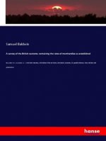 survey of the British customs; containing the rates of merchandize as established