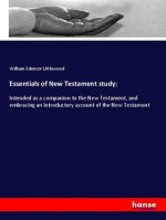 Essentials of New Testament study: