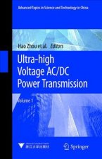 Ultra-high Voltage AC/DC Power Transmission