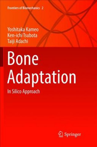 Bone Adaptation