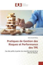 Pratiques de Gestion des Risques et Performance des TPE
