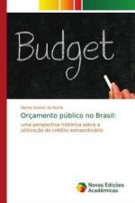 Orçamento público no Brasil: