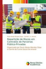 Reparticao de Riscos em Contratos de Parcerias Publico-Privadas
