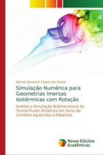 Simulacao Numerica para Geometrias Imersas Isotermicas com Rotacao