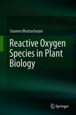 Reactive Oxygen Species in Plant Biology