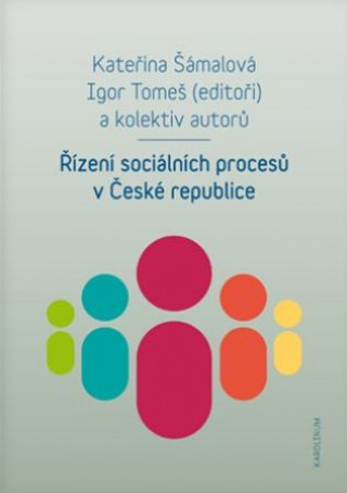 Řízení sociálních procesů v České republice