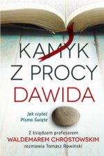 Kamyk z procy Dawida